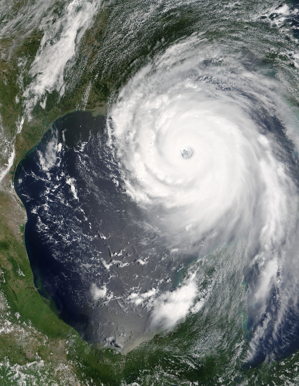 ハリケーンは女性の名前を付けると被害が大きい 雑学ネタ帳