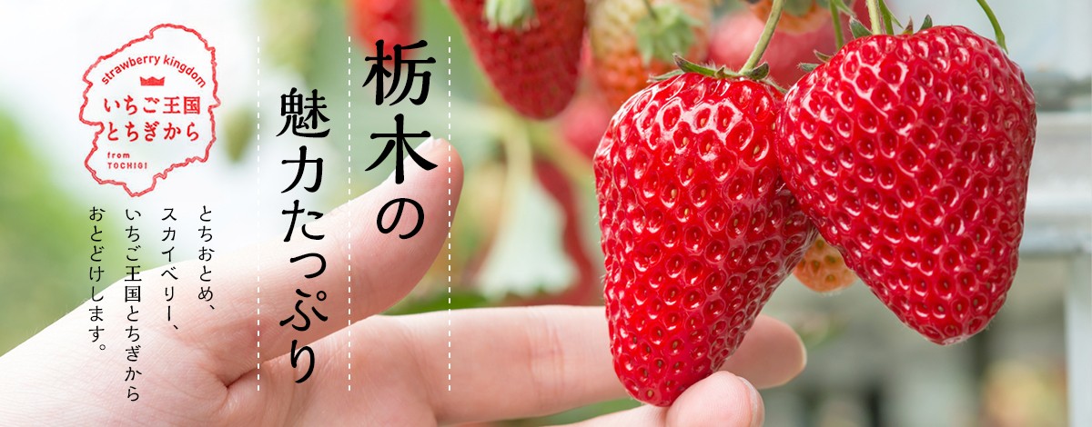 栃木県のイチゴ