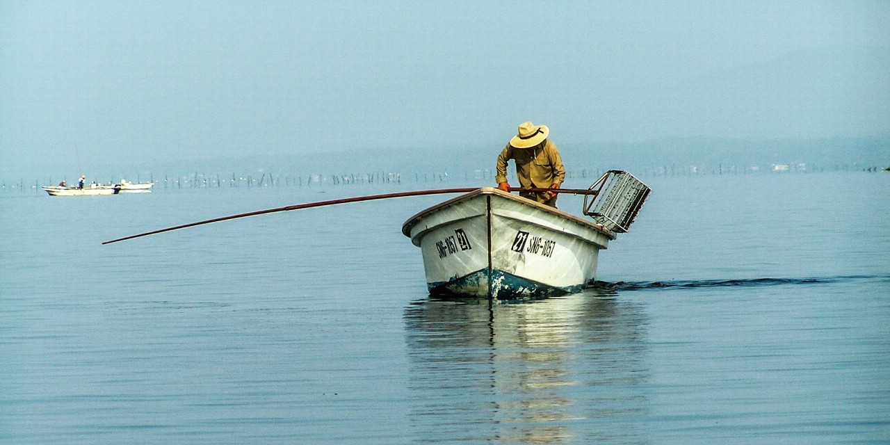 宍道湖のシジミ漁